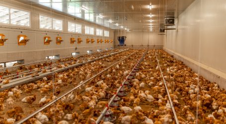 Schmiedtbauer streitet für heimische Bio-Exporte