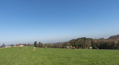 Fallen die Bergmilchbauern zurück?