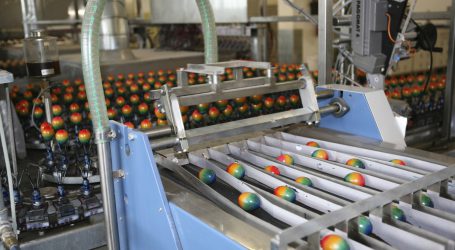 Quick-Egg-Check für Wissbegierige