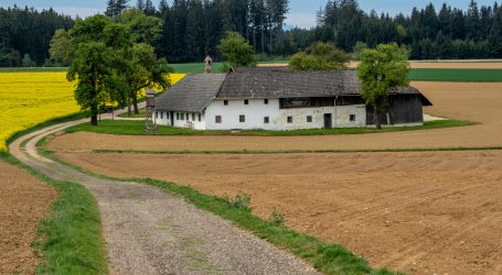 ÖBV-Via Campesina: LKÖ unterschätzt Bedeutung der Kleinbauern