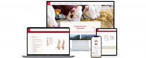 Per Website zum Fleischkenner