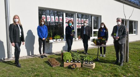 Raritätenreicher Gießhübler Pflanzenmarkt