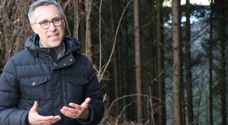 Wald zu nutzen nützt dem Klima