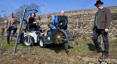 Spezialgefährt für Steillagenweinbau