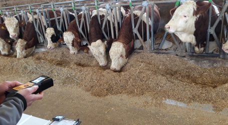 Methanmenge sensibel auf Futterzusatz