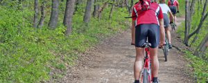 Mehr Fair Play für Mountainbiker & Co