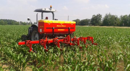 MaterMacc drängt in die Reihen