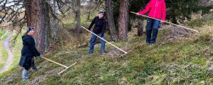 Landjugend bei mühsamer Wiesenpflege in Aktion