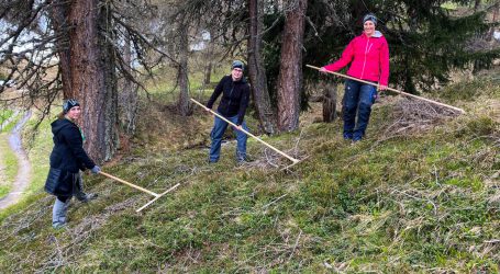 Landjugend bei mühsamer Wiesenpflege in Aktion