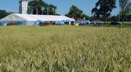 LK Österreich positiv zu Züchtungsstudie eingestellt