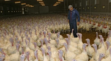 Wiener/Waitz begrüßen Tierschutzdebatte