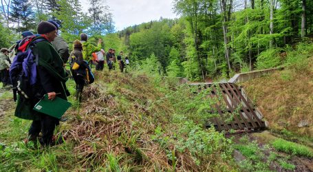 Julian ist zertifizierter Wildbachbegeher