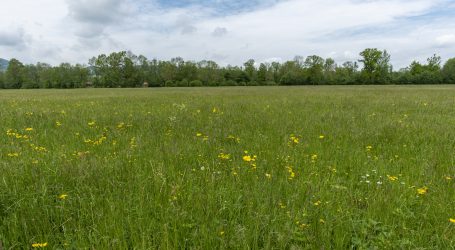 Geförderte Auszeit bei Swantons