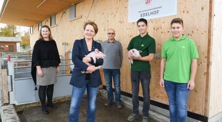 Edelhofer Bio-Schweinestall spielt alle Stückln
