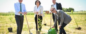 Klimaforschungswald wächst in Matzen-Raggendorf