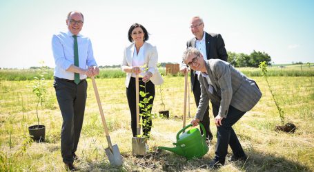 Klimaforschungswald wächst in Matzen-Raggendorf