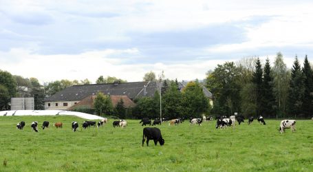 Biobetriebe bangen um ihre Existenz