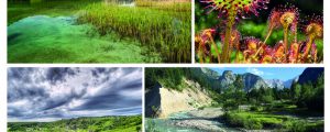 Land & Raum folgt den Schmugglern