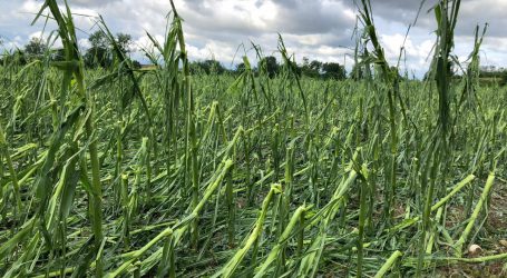 Neuerliche Unwetter über Oberösterreich