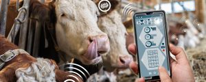 Innovation Farm bittet zum Live-Event