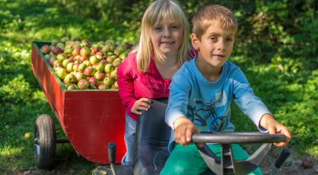 Green Care betreut Kinder vor Ort
