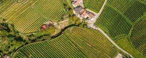 Österreichischer Weinatlas digital verfügbar