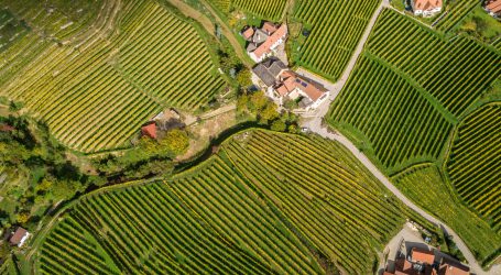 Österreichischer Weinatlas digital verfügbar