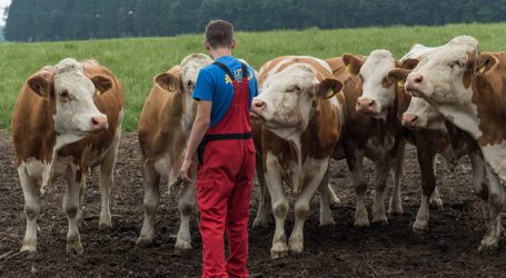 GAP-Einigung verkenne Dringlichkeit beim Klima