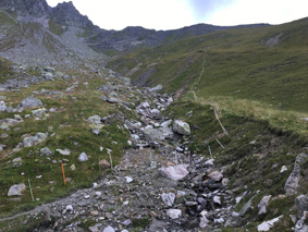 Naturschutzbund setzt auf Herdenschutz