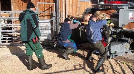Lehrgang  für Instruktoren in Klauenpflege