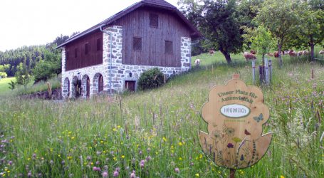 Blumentafeln werben für Heumilch