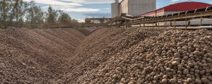 Trocknen bei halbierten Emissionen