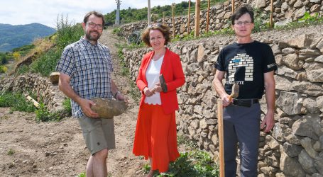 Weinbauschule hilft Welterbe bewahren