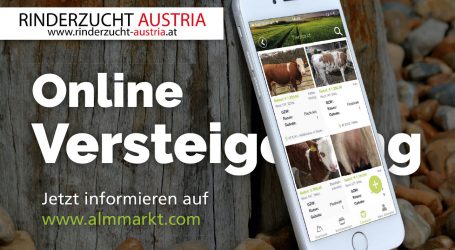 Digital in ganz Österreich versteigern