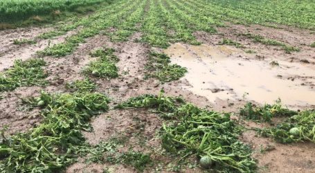 Steiermark und Burgenland neuerlich heimgesucht