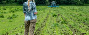 EU-Agrarminister zurückhaltend beim Bio-Aktionsplan