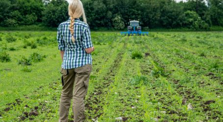 EU-Agrarminister zurückhaltend beim Bio-Aktionsplan