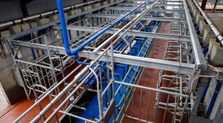 DeLaval melkt tadellos und jetzt easy