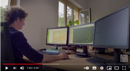 Antragshilfe bei Borkenkäferschäden