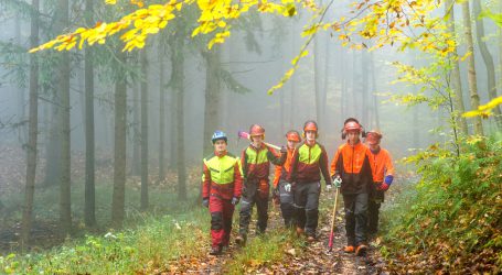 Green Care vermittelt soziale Waldarbeit