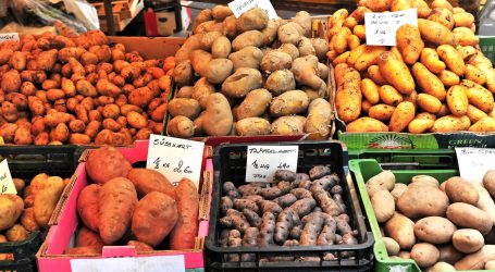 Saisonkalender für Gemüse und Obst online verfügbar