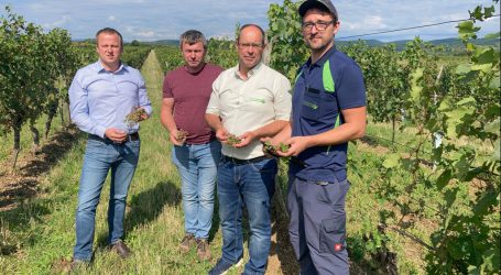Hagel auch im Burgenland