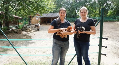 LFS Hollabrunn bei Green- Care anerkannt