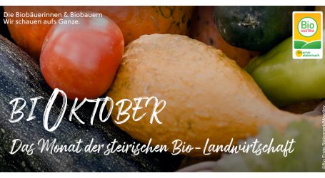 Im BiOktober geht die Post ab