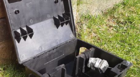 Schnell wirkender Köder gegen Nager