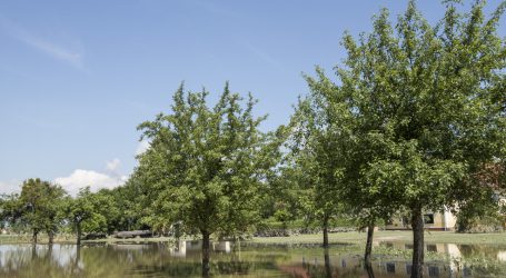 Bauernbund Hallein will Flut-Entschädigung für Bauern