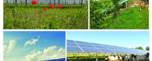 Land & Raum beleuchtet Agrar-Photovoltaik