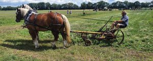 Zweitägiges Seminar über Tierische Zugkraft
