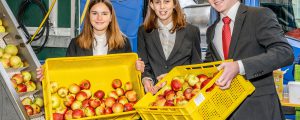 Apfelsaft aufmerksam einkaufen