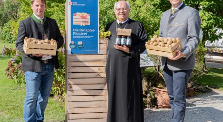 Drahtwurm Sorgenkind der Erdäpfelbauern